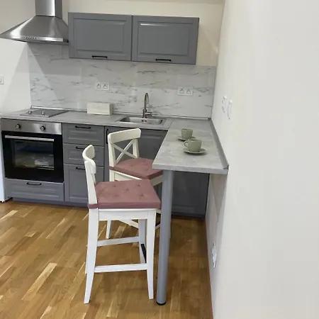 Modern Center Flat Prague
